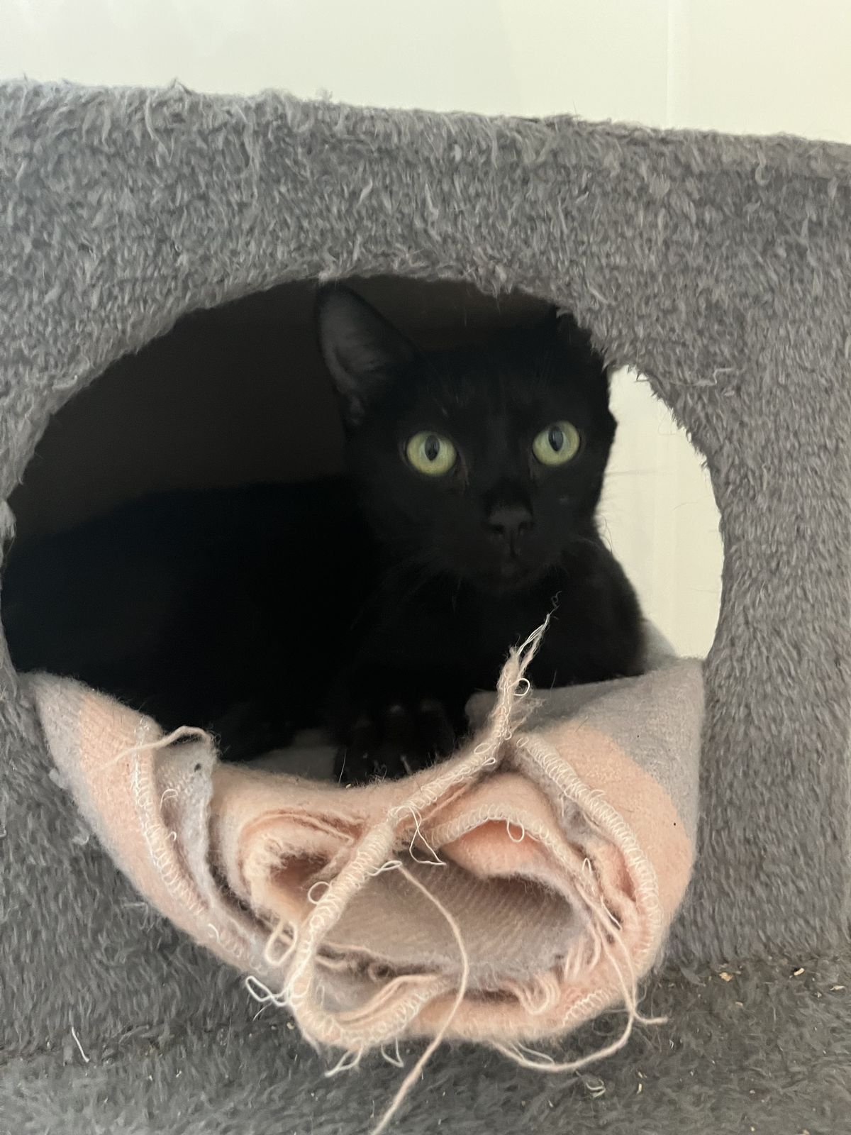 Gallery image: Sabrina