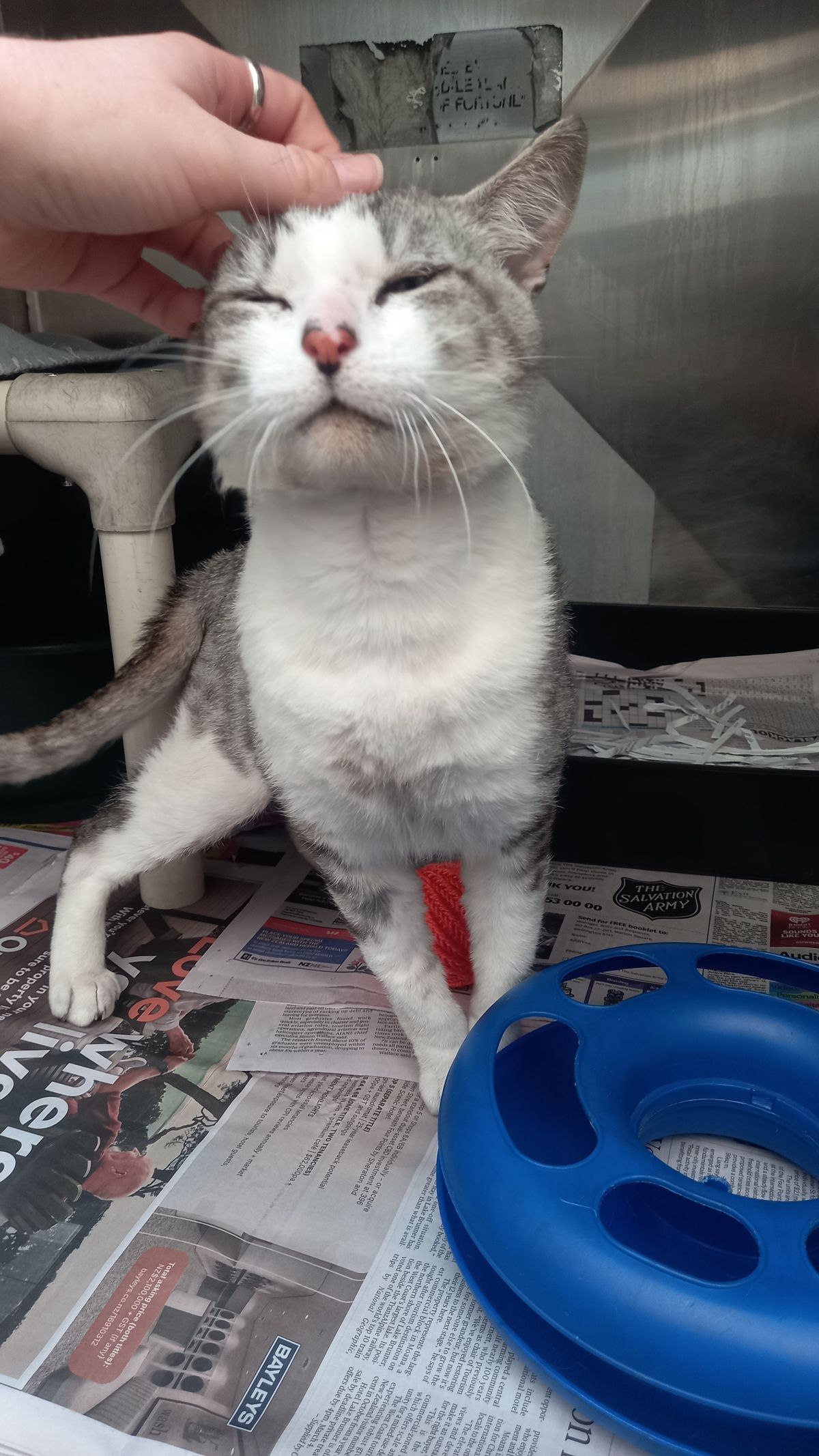 Gallery image: Slim Shady