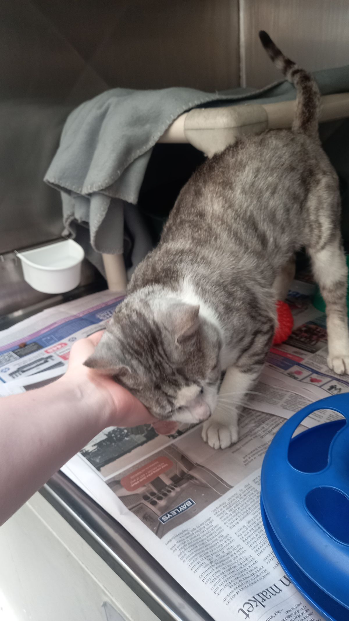 Gallery image: Slim Shady