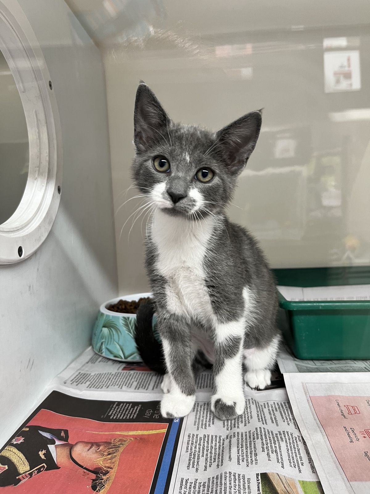 Gallery image: Misty