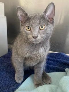 Gallery image: Walter