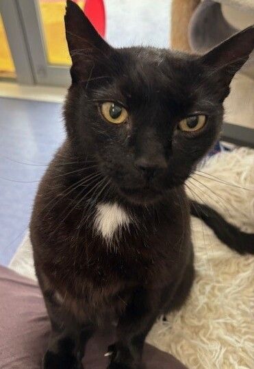 Gallery image: Big Tony