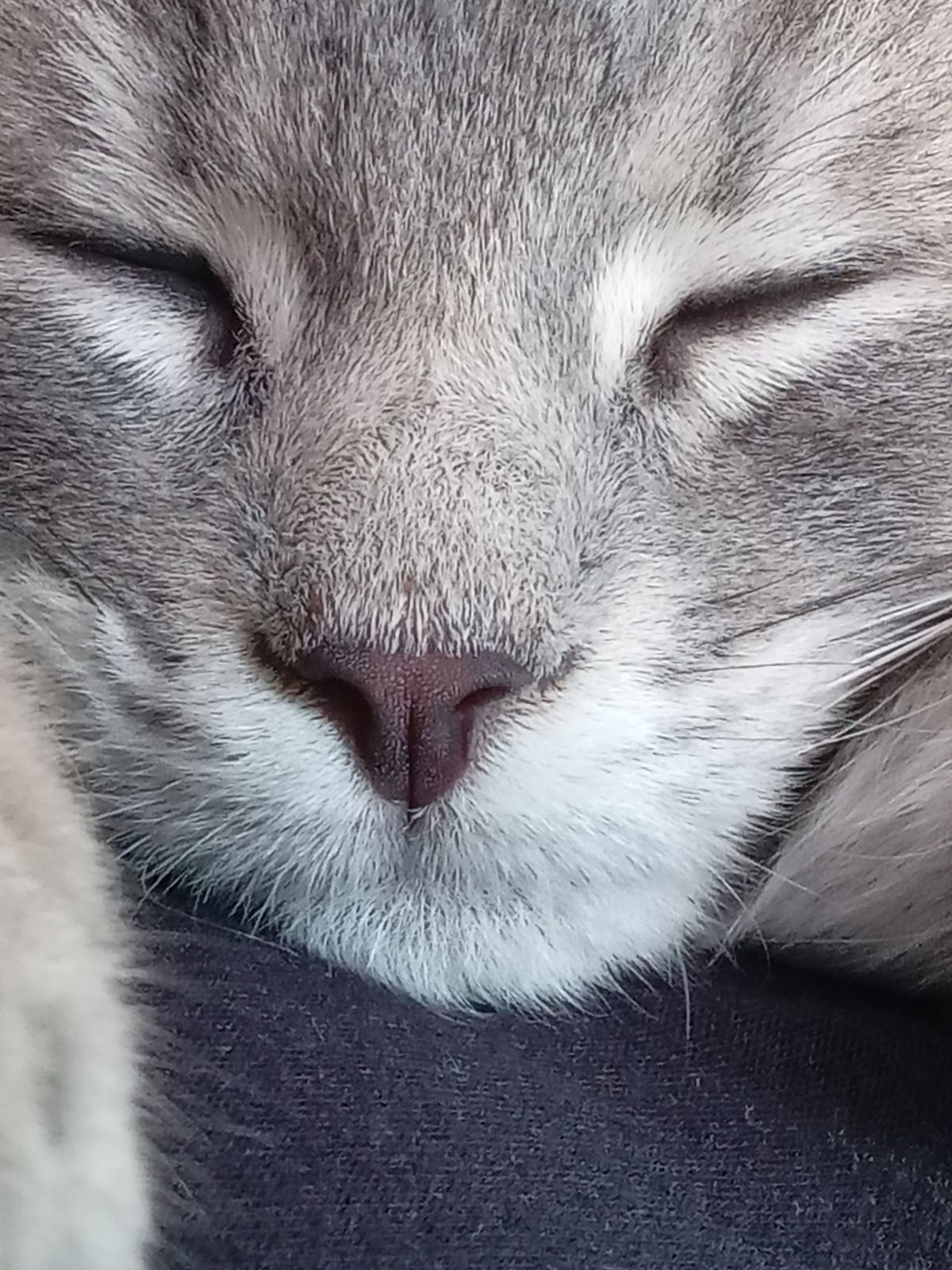 Gallery image: Reggie