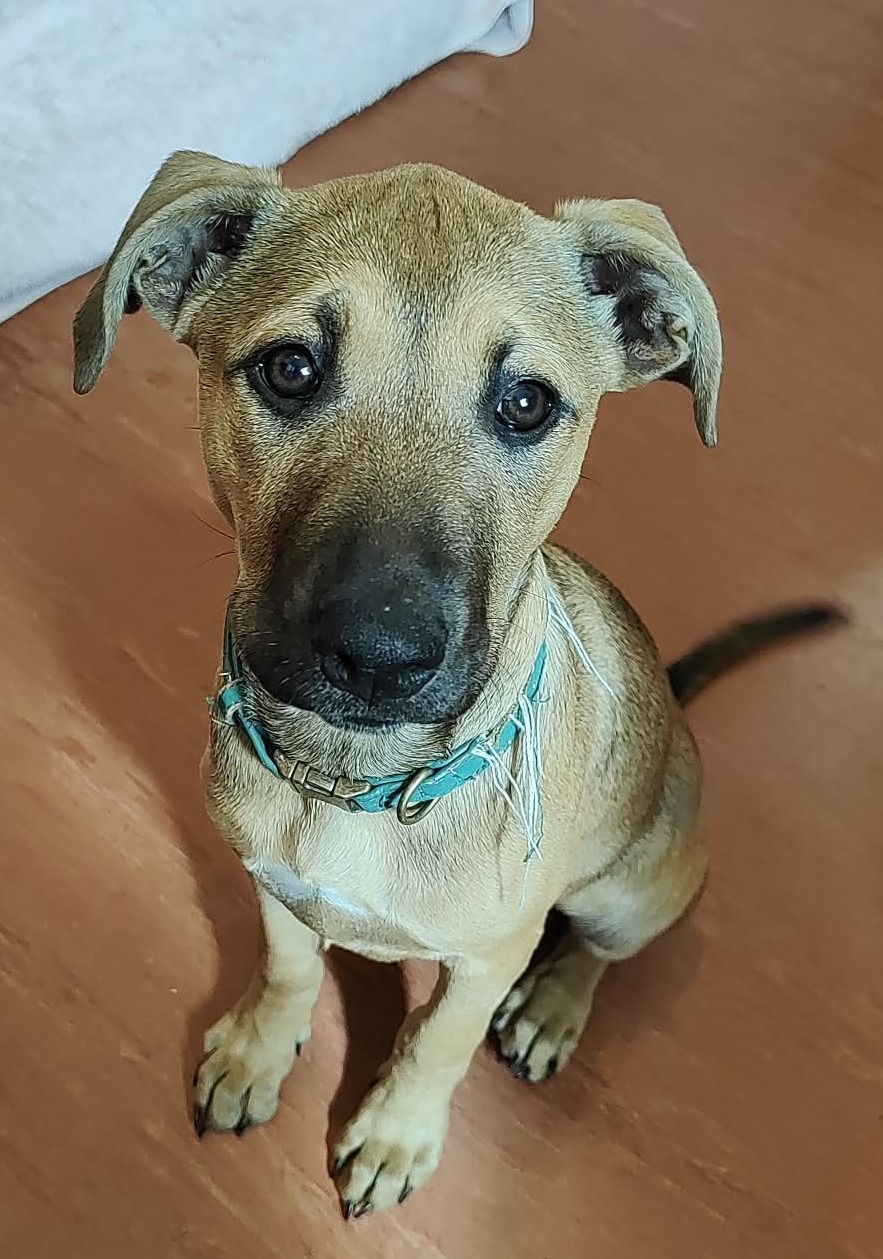 Gallery image: Christie