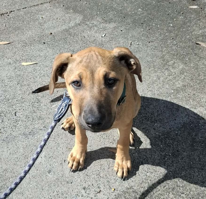 Gallery image: Christie