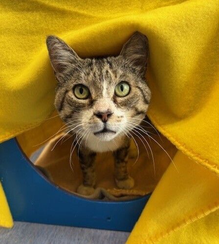 Gallery image: Phillipe