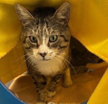 Gallery image: Phillipe