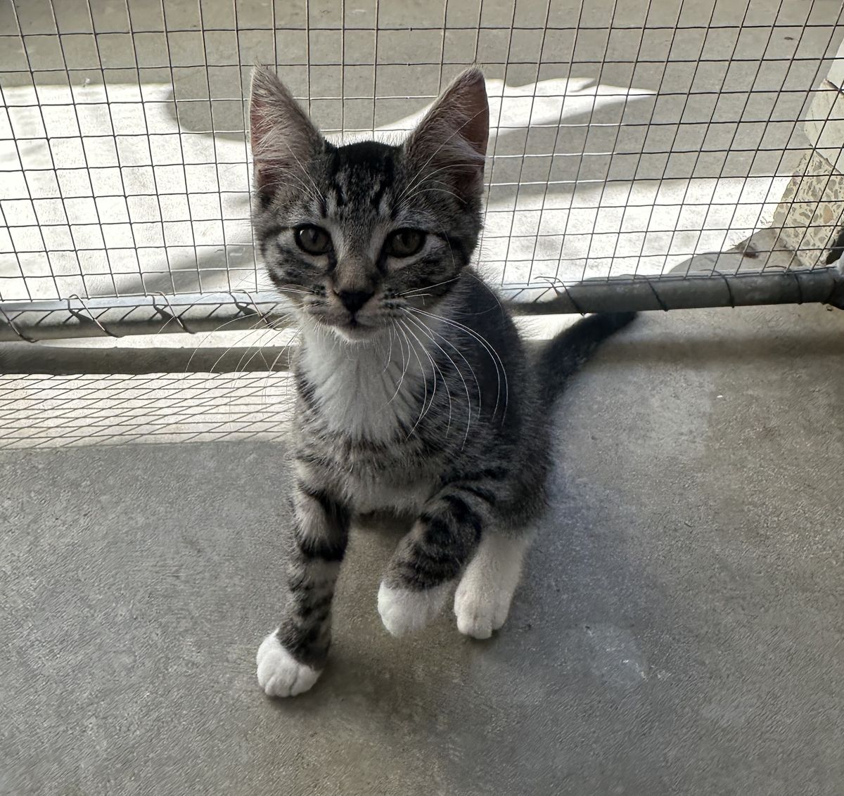 Gallery image: Monty