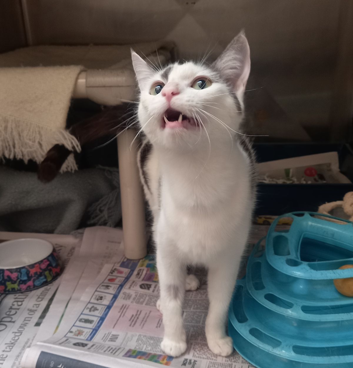 Gallery image: Ellie