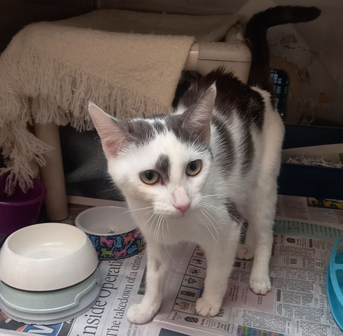 Gallery image: Ellie