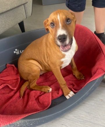 Gallery image: Dorothy