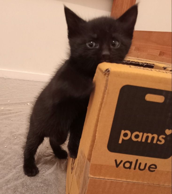 Gallery image: Fired For Cause