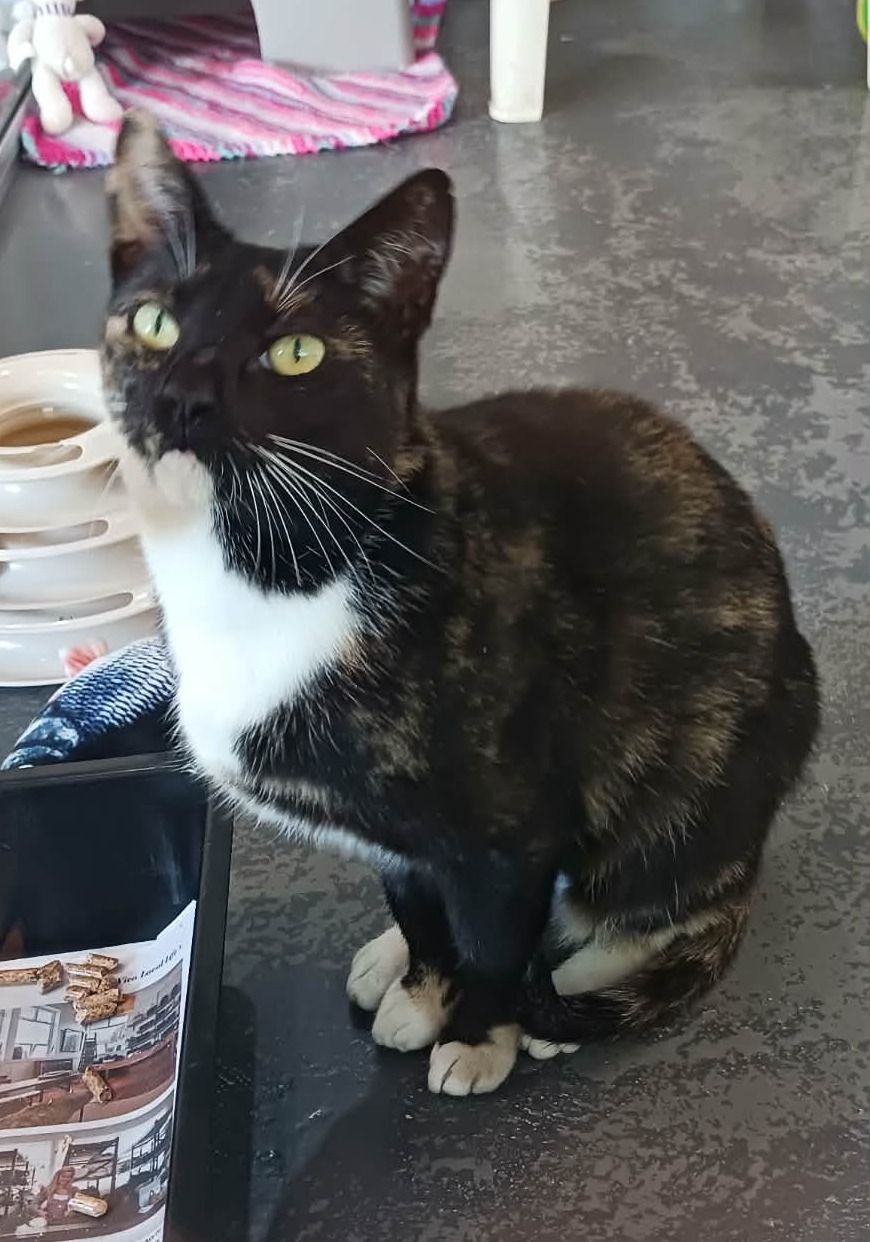 Gallery image: Sasha