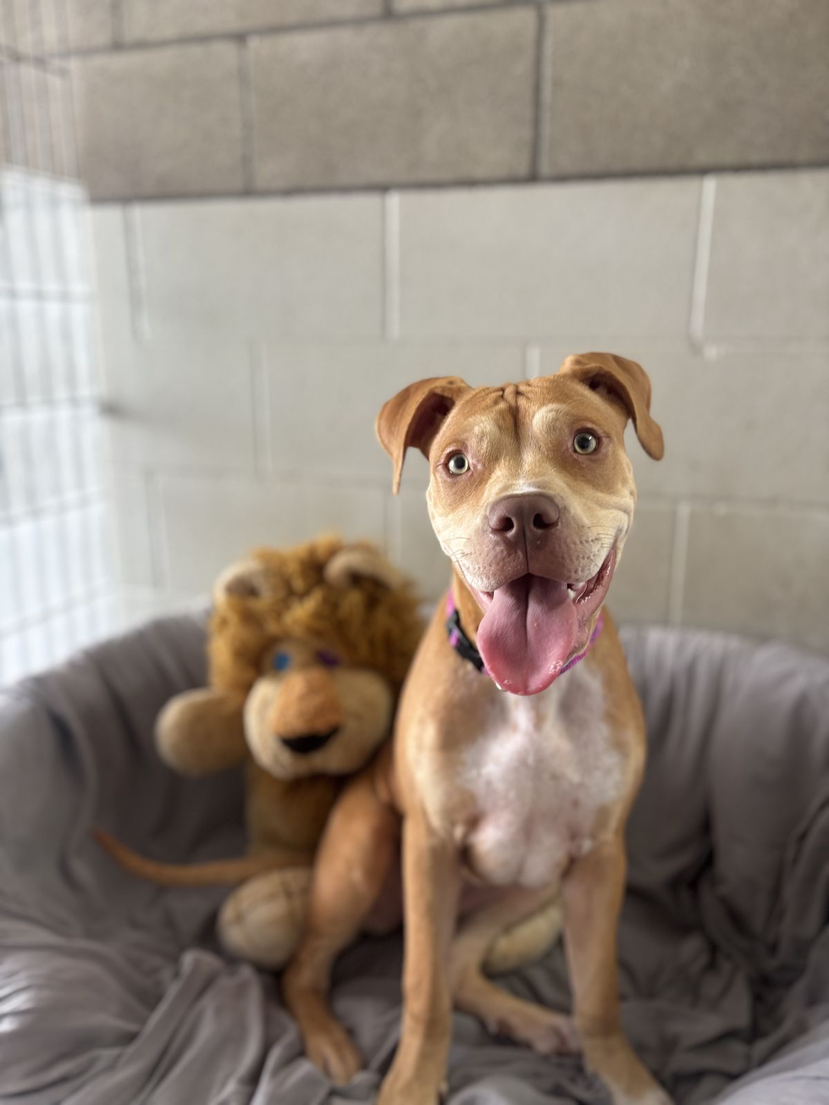 Gallery image: Thelma