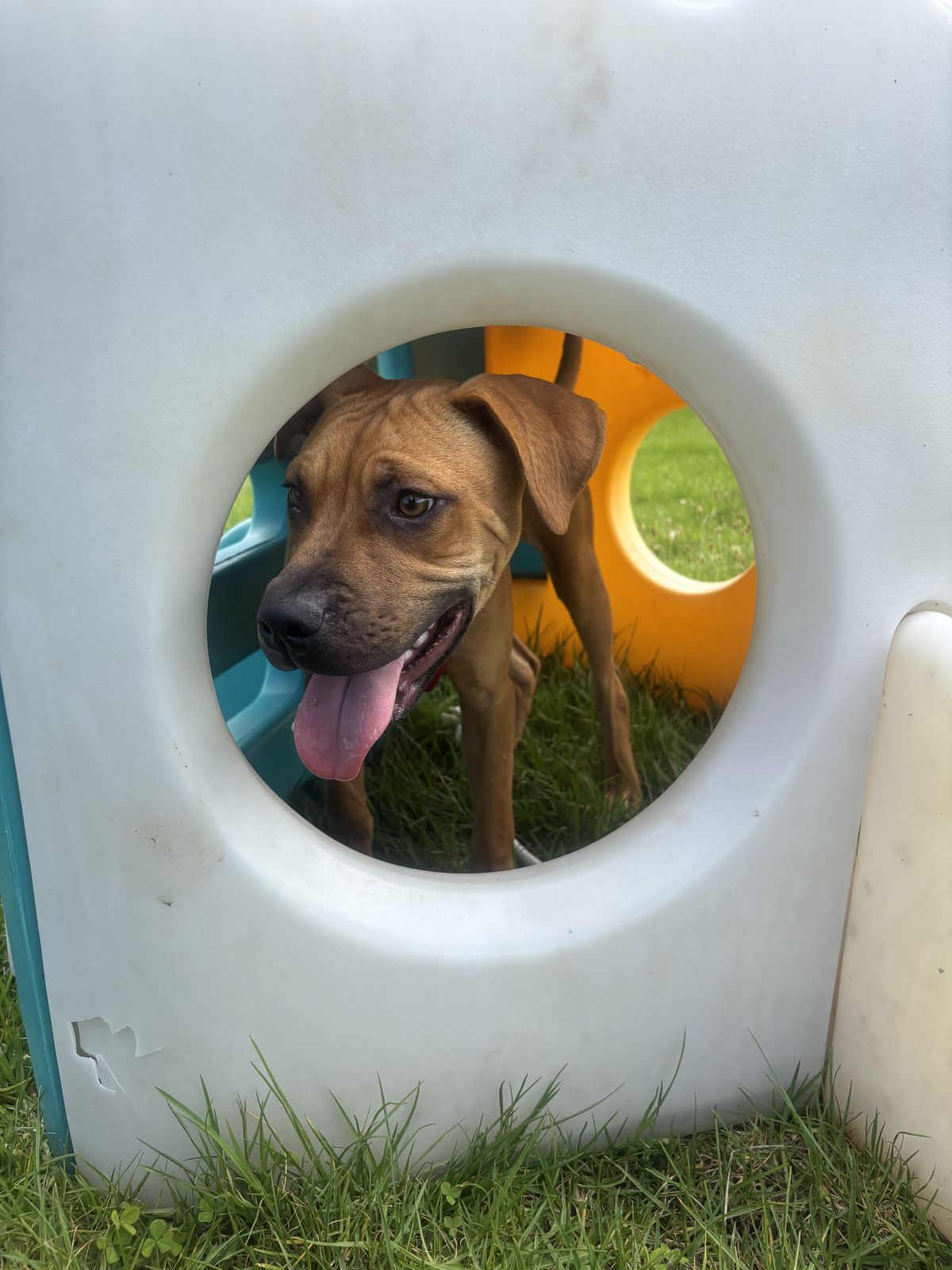 Gallery image: Louise