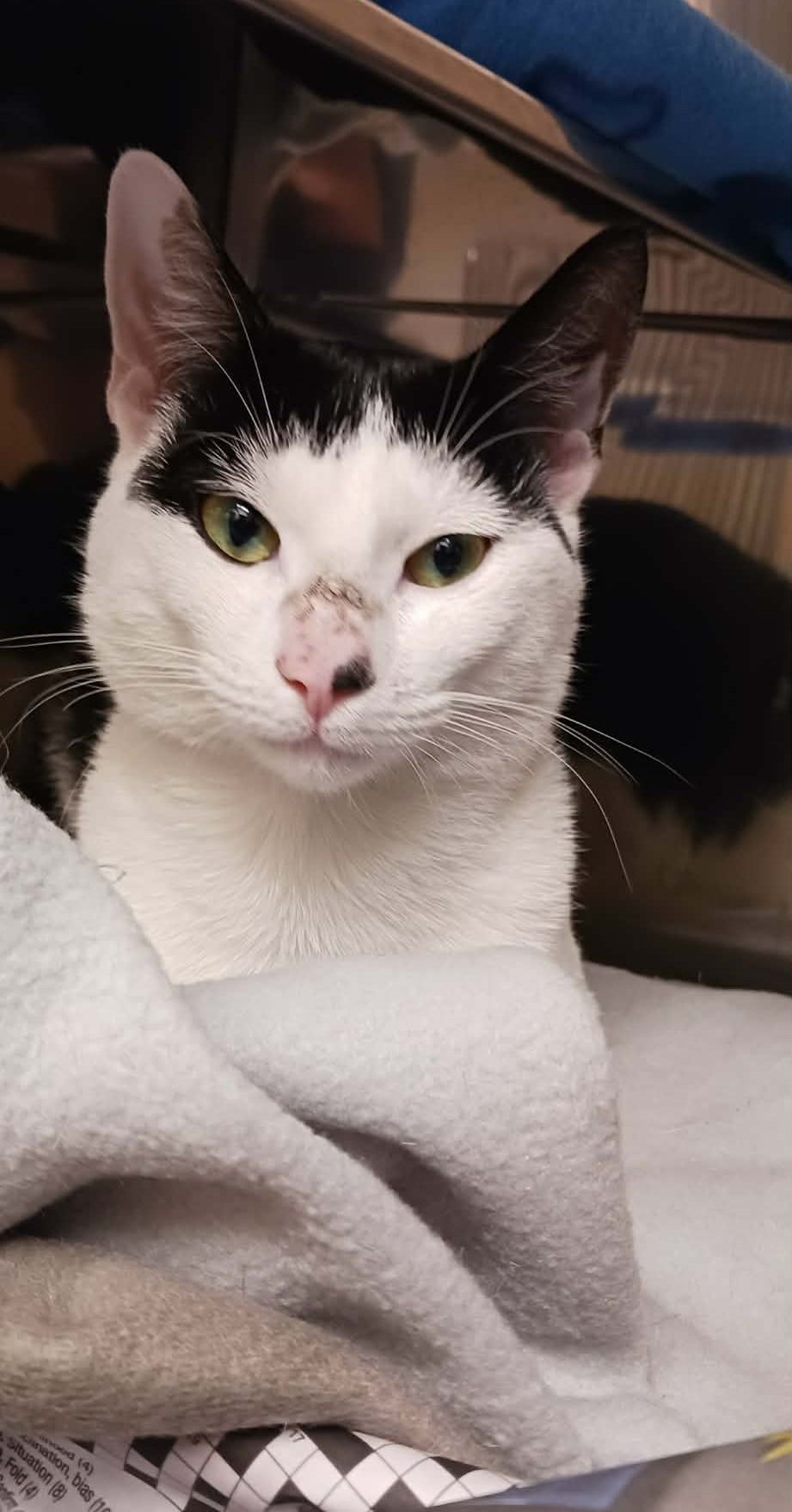 Gallery image: Frank