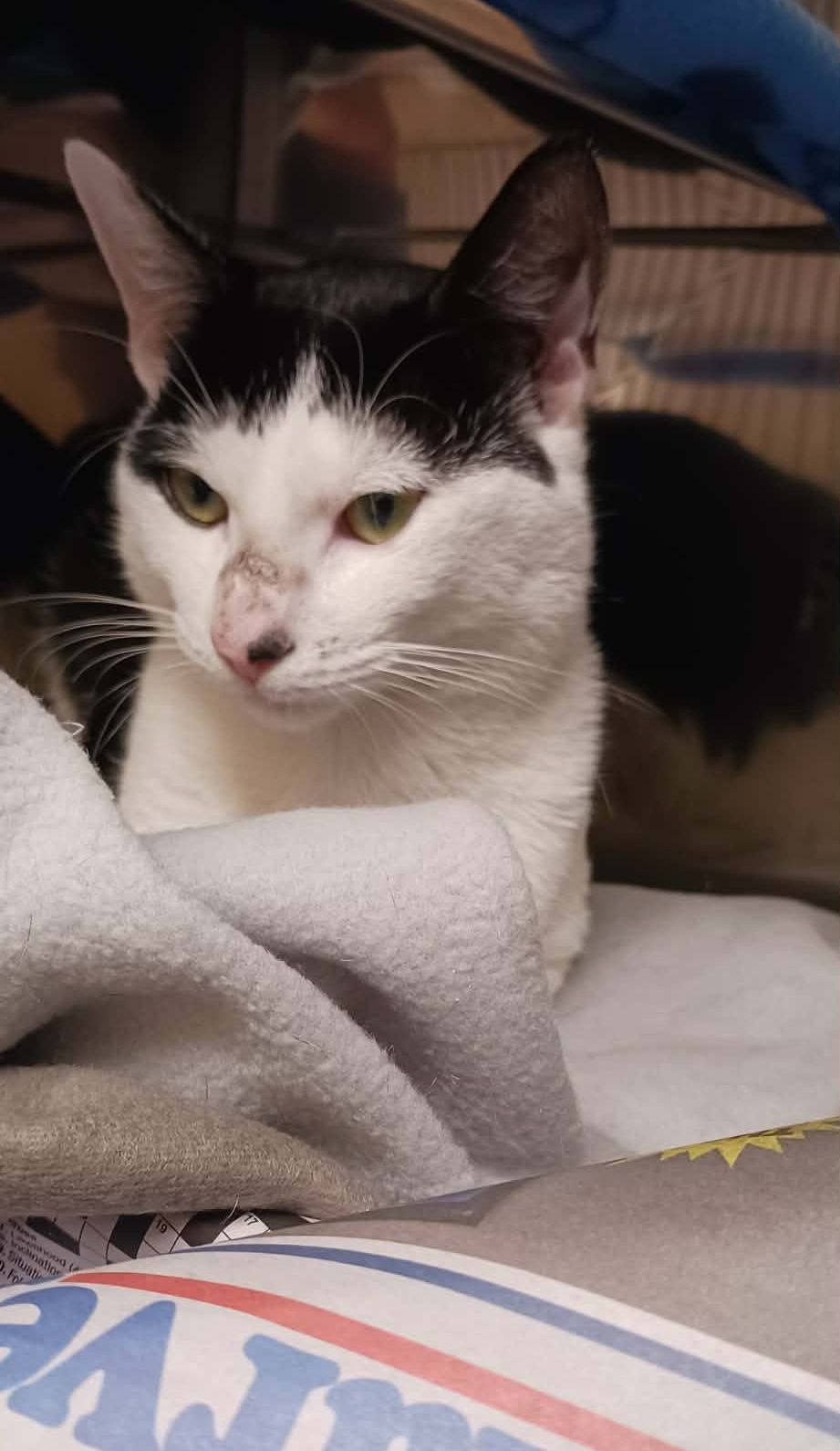 Gallery image: Frank