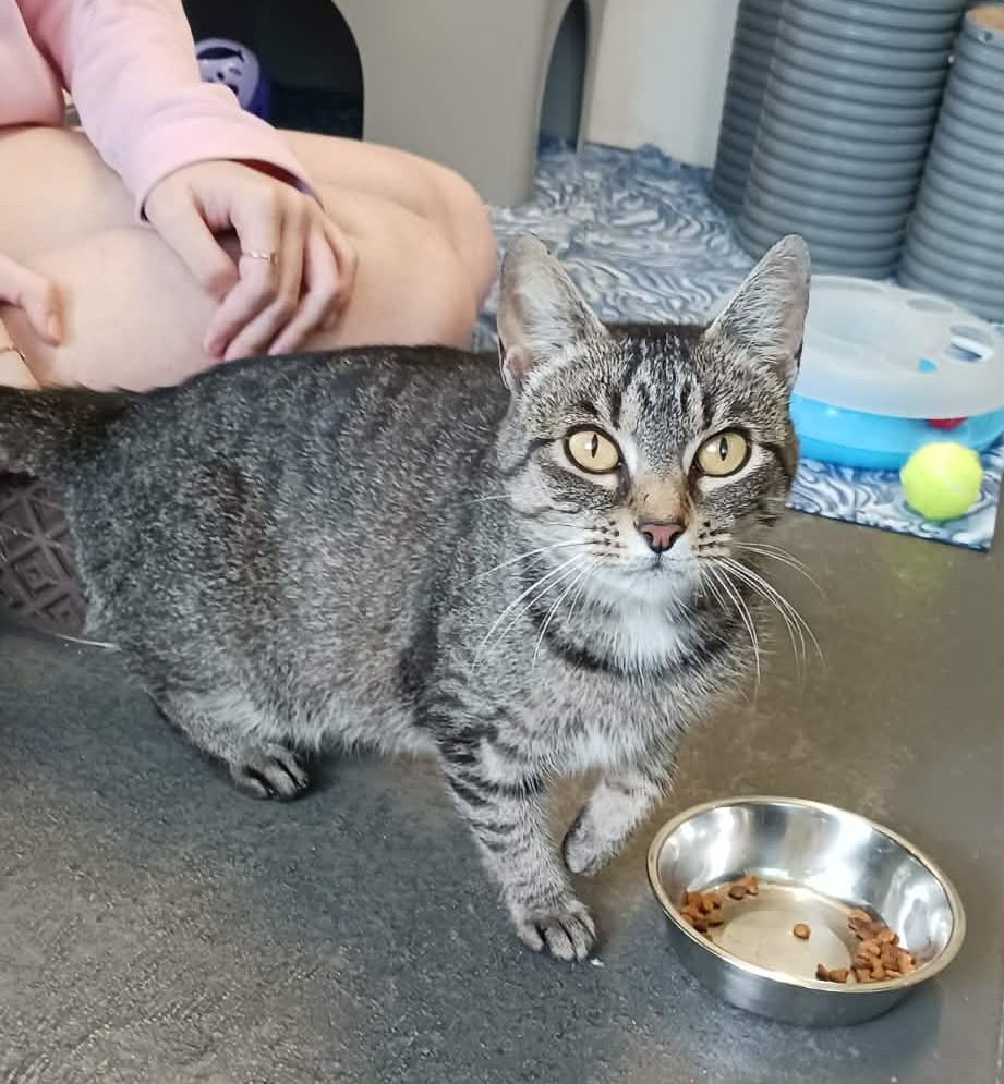 Gallery image: Amber