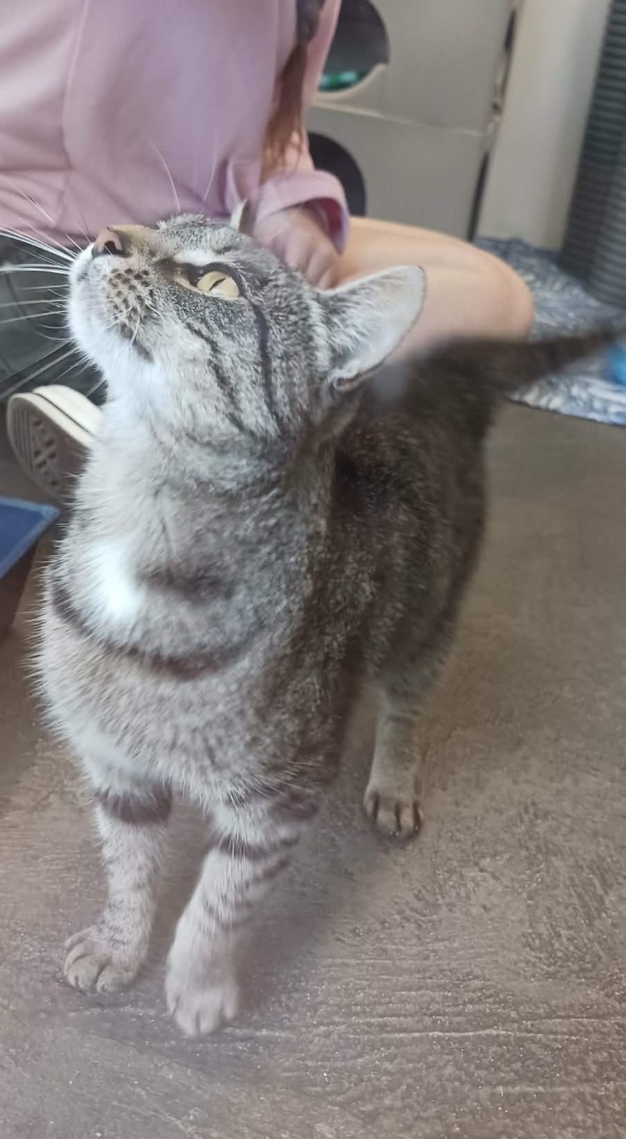 Gallery image: Amber