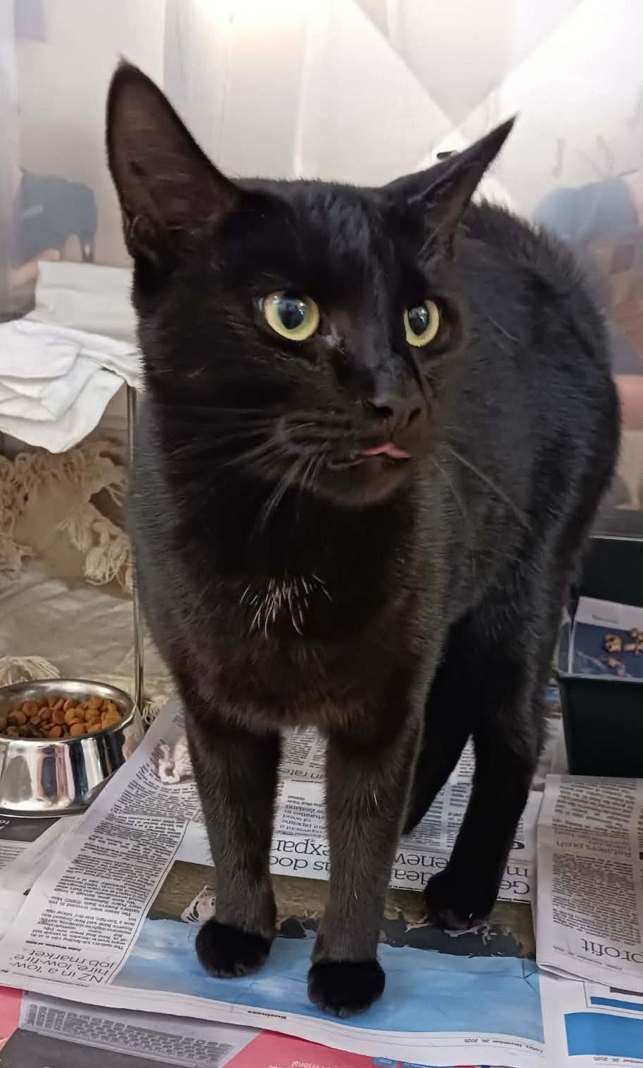 Gallery image: Soren 