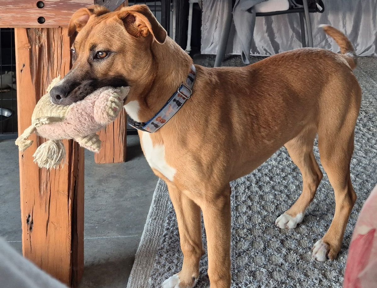 Gallery image: Truffle