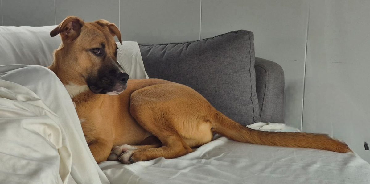 Gallery image: Truffle