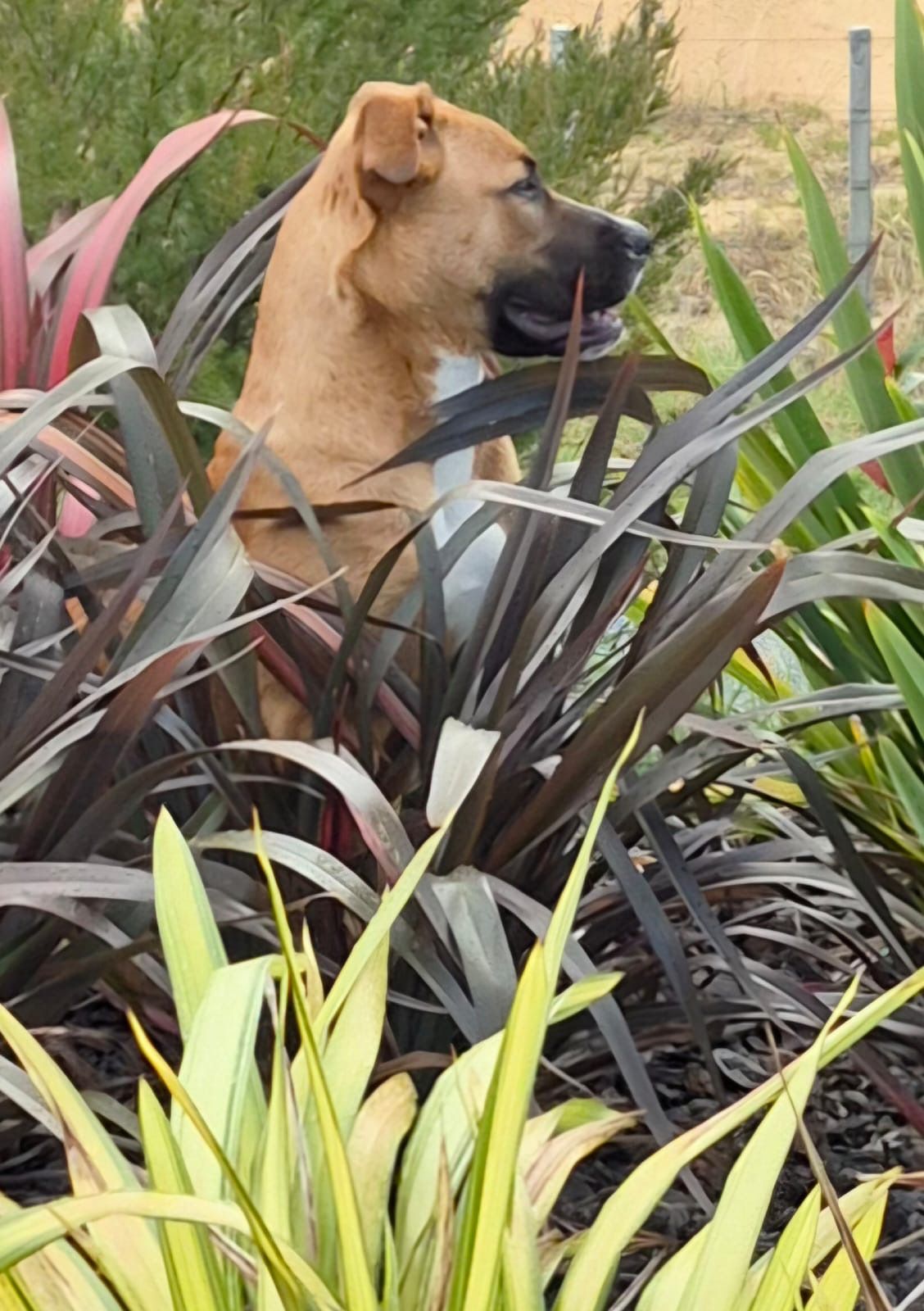 Gallery image: Truffle