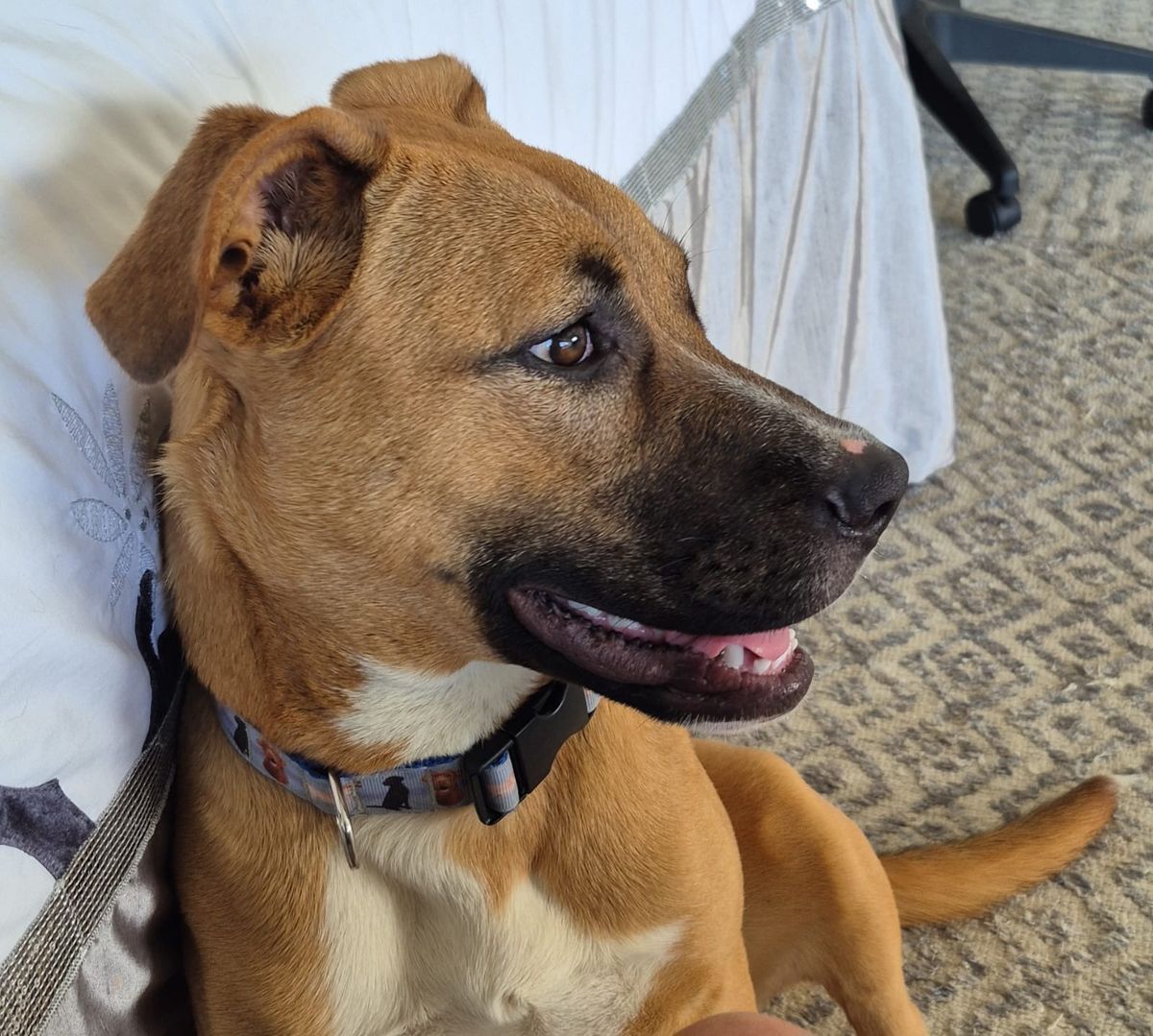 Gallery image: Truffle