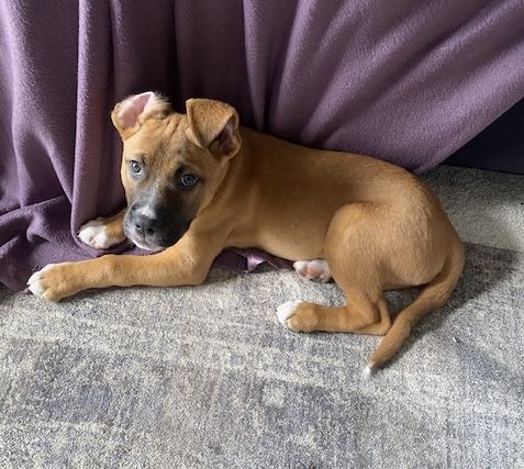 Gallery image: Truffle