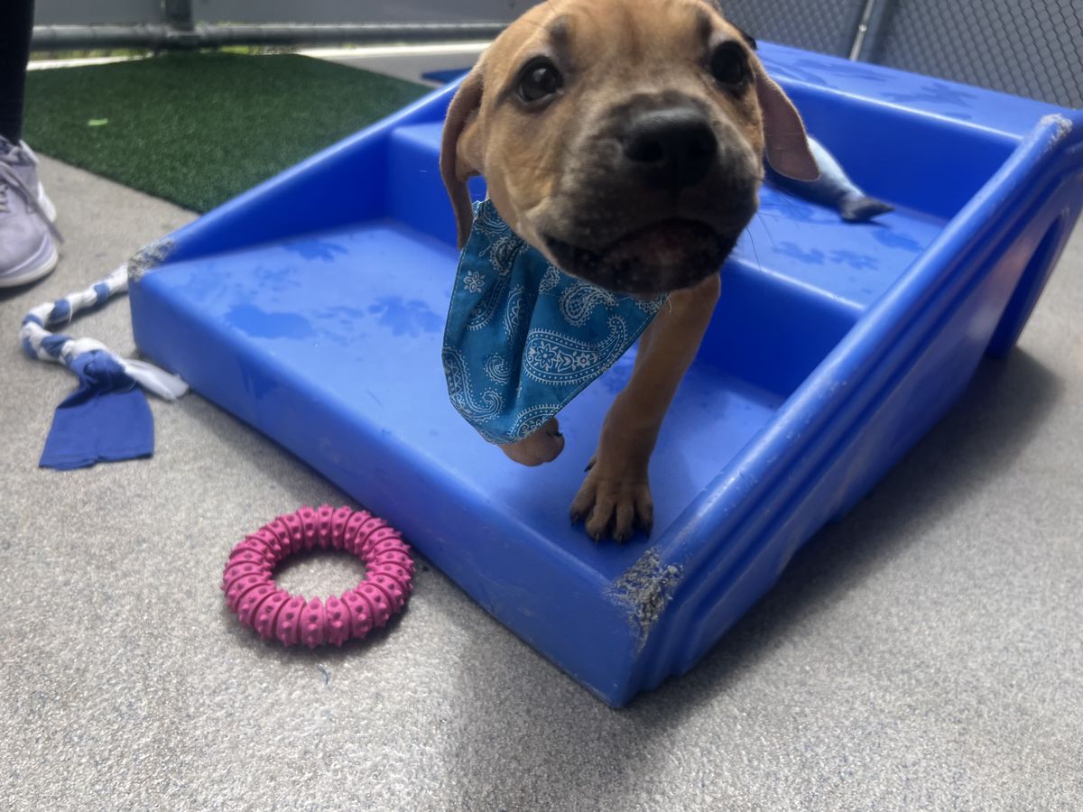 Gallery image: Buffy