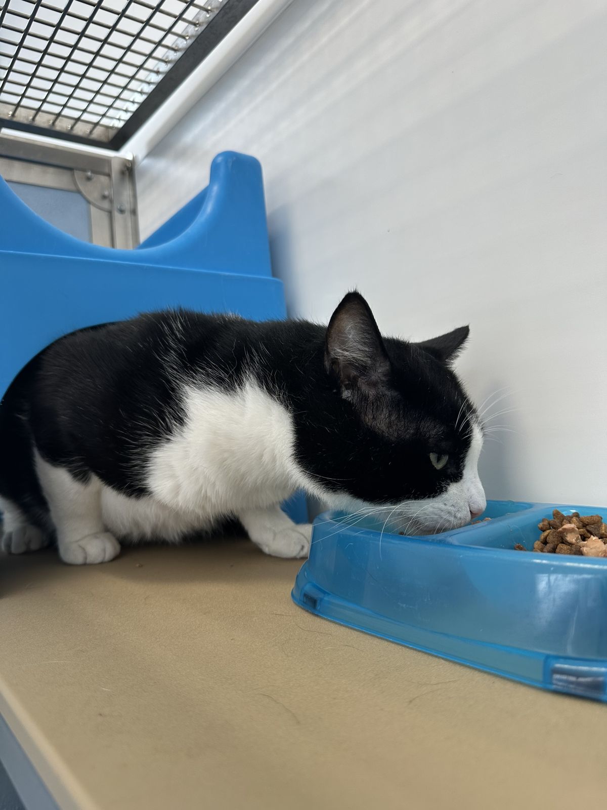 Gallery image: Rumble