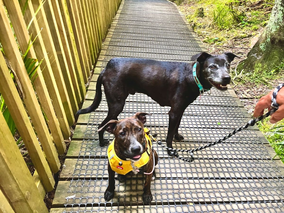 Gallery image: Chutney