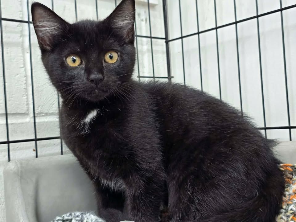 Gallery image: Miller