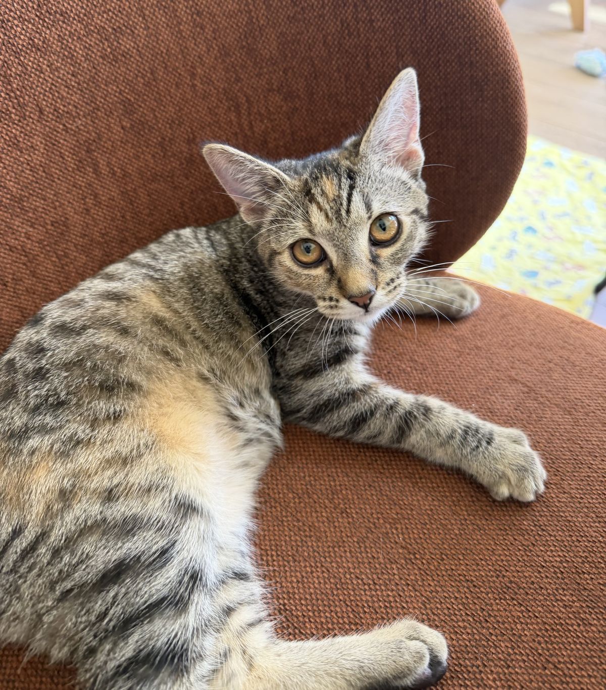 Gallery image: Gamora