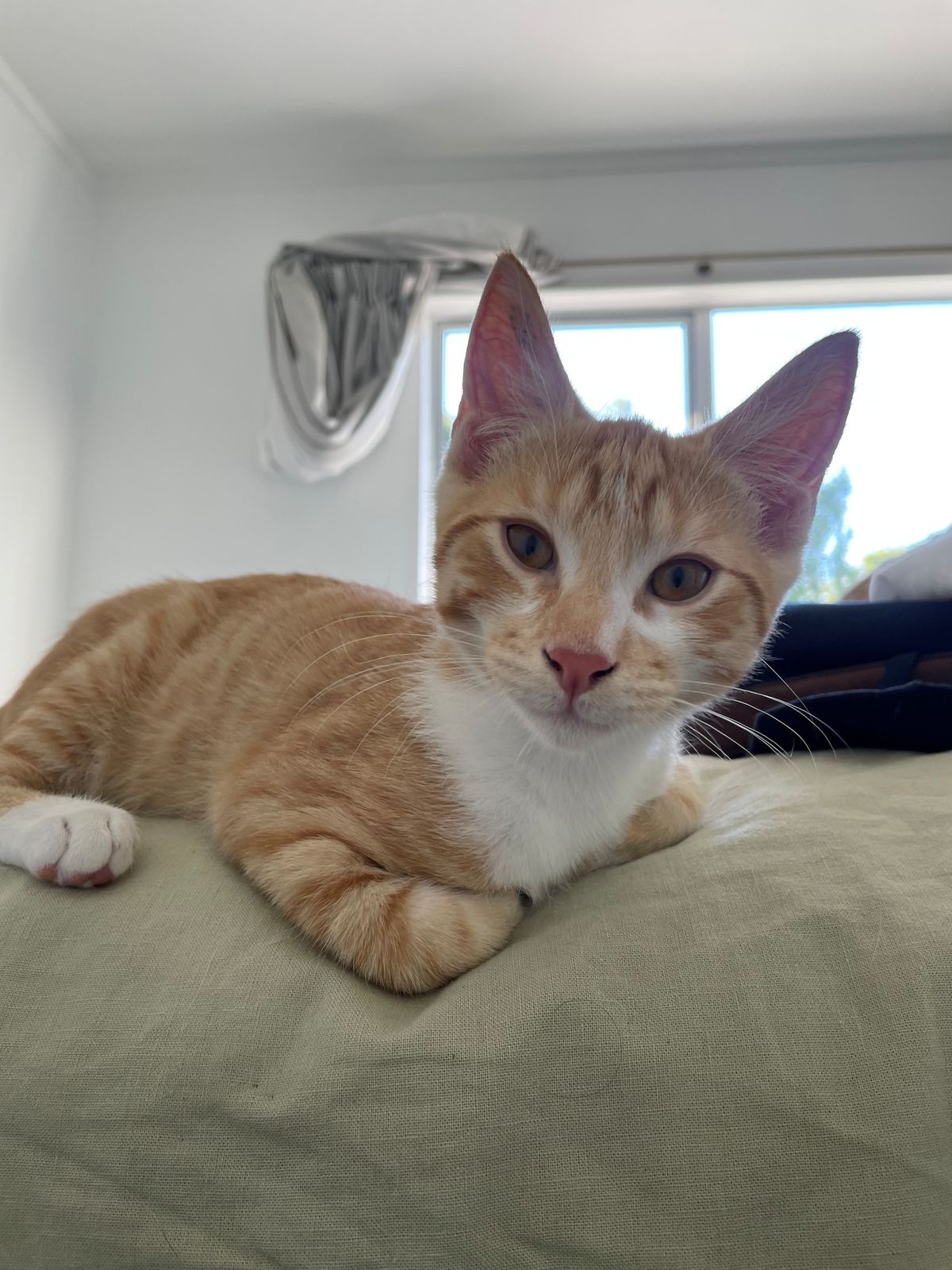 Gallery image: Lando