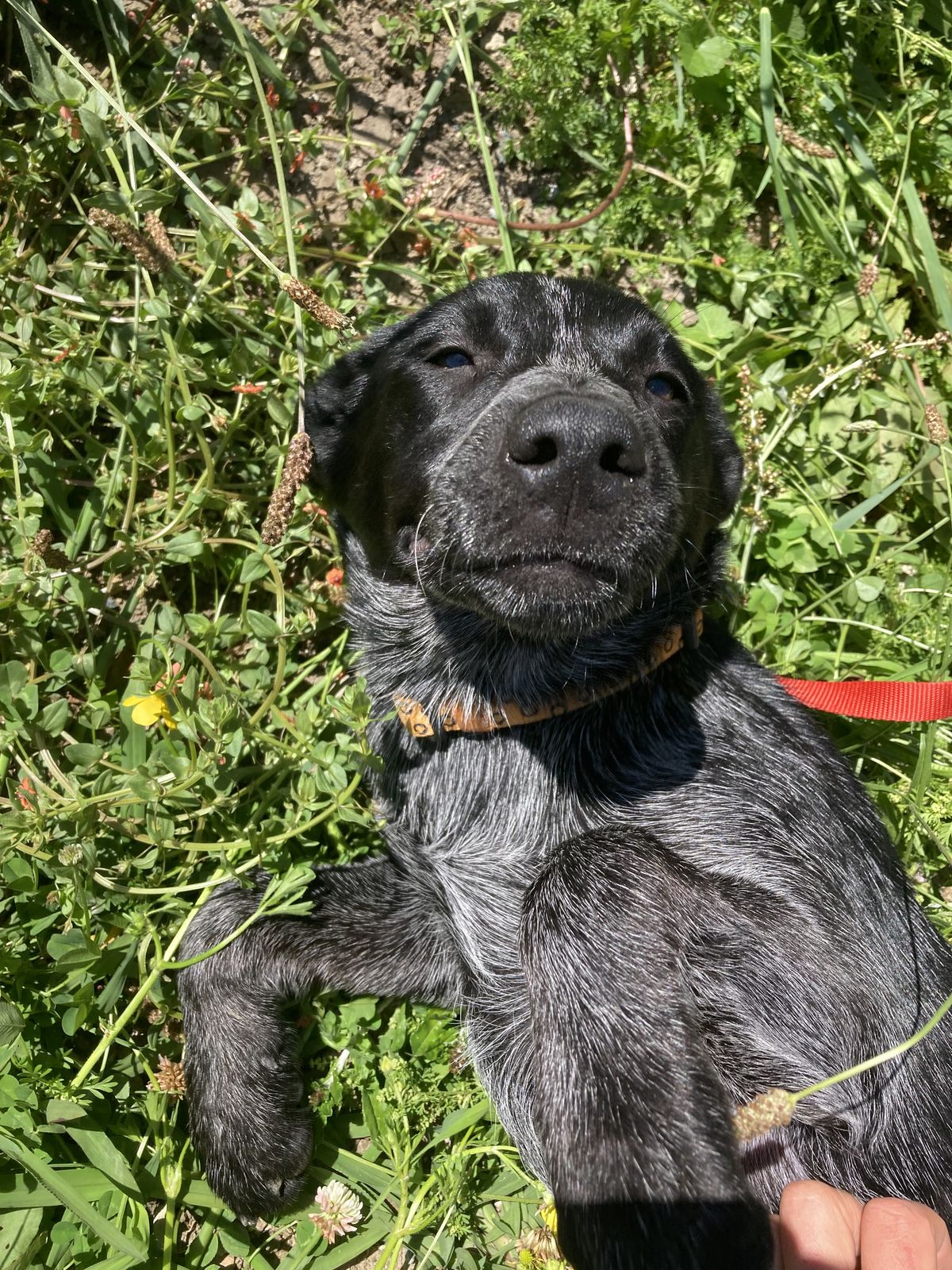 Gallery image: Darwin