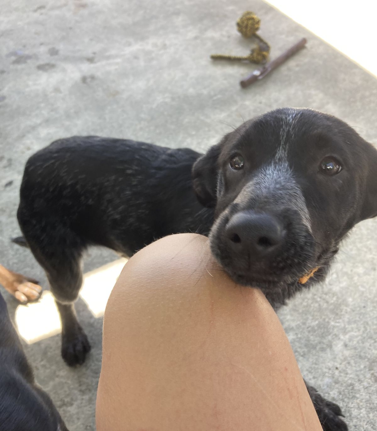 Gallery image: Darwin