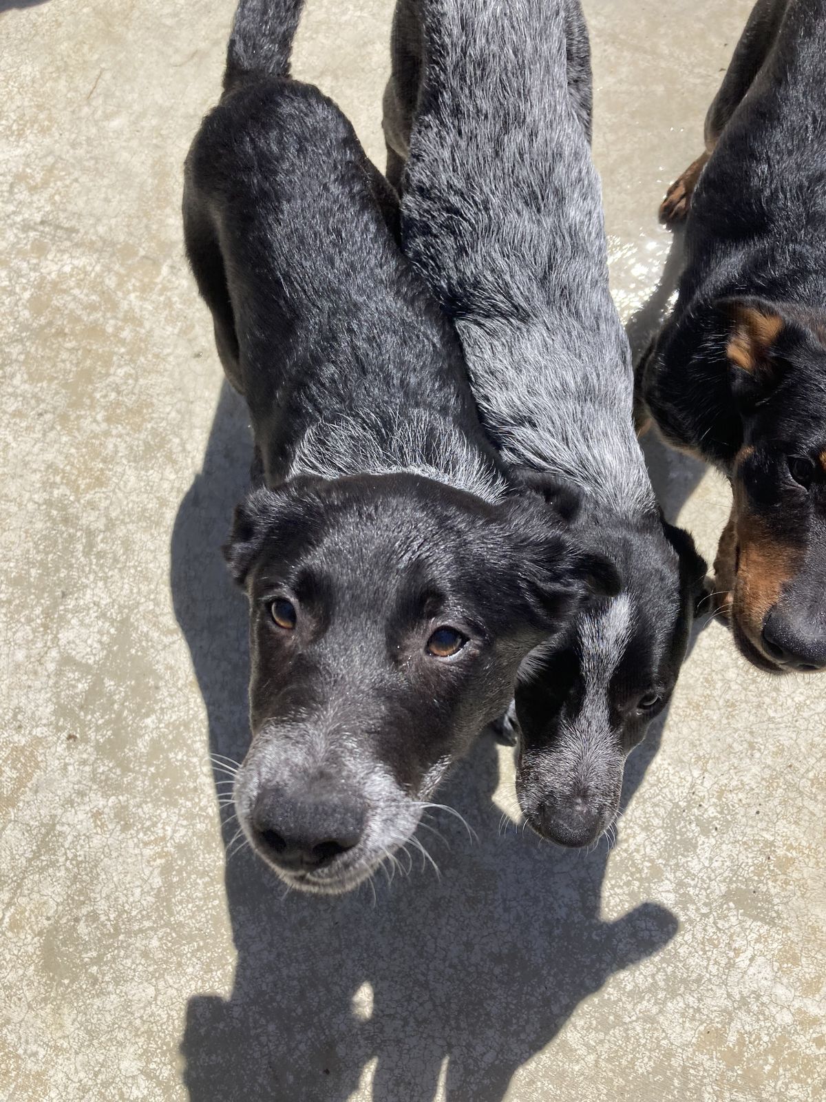 Gallery image: Darwin