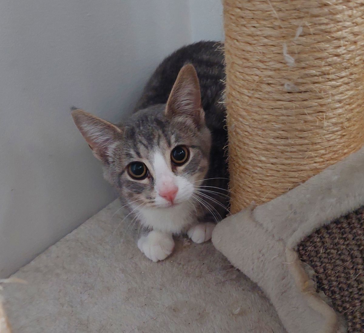 Gallery image: Marley