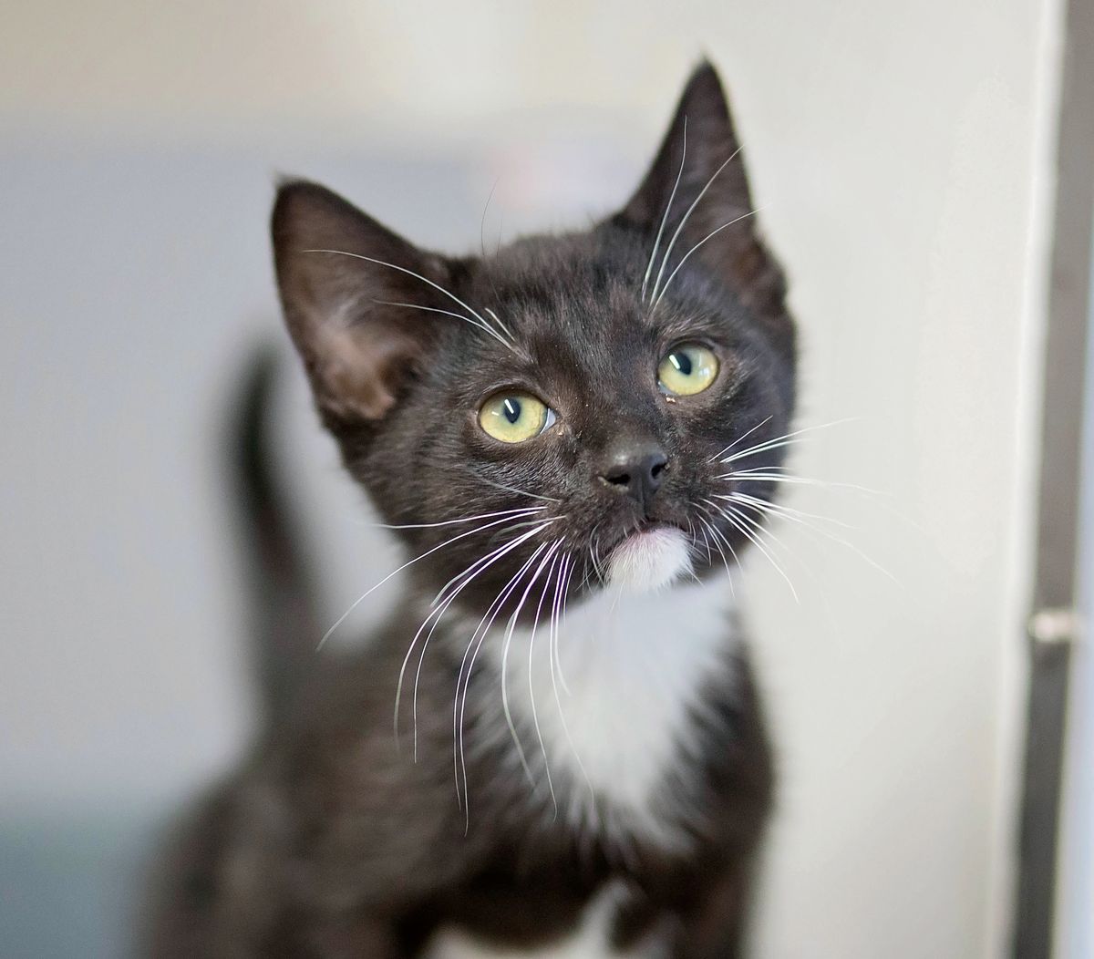 Gallery image: Omaha