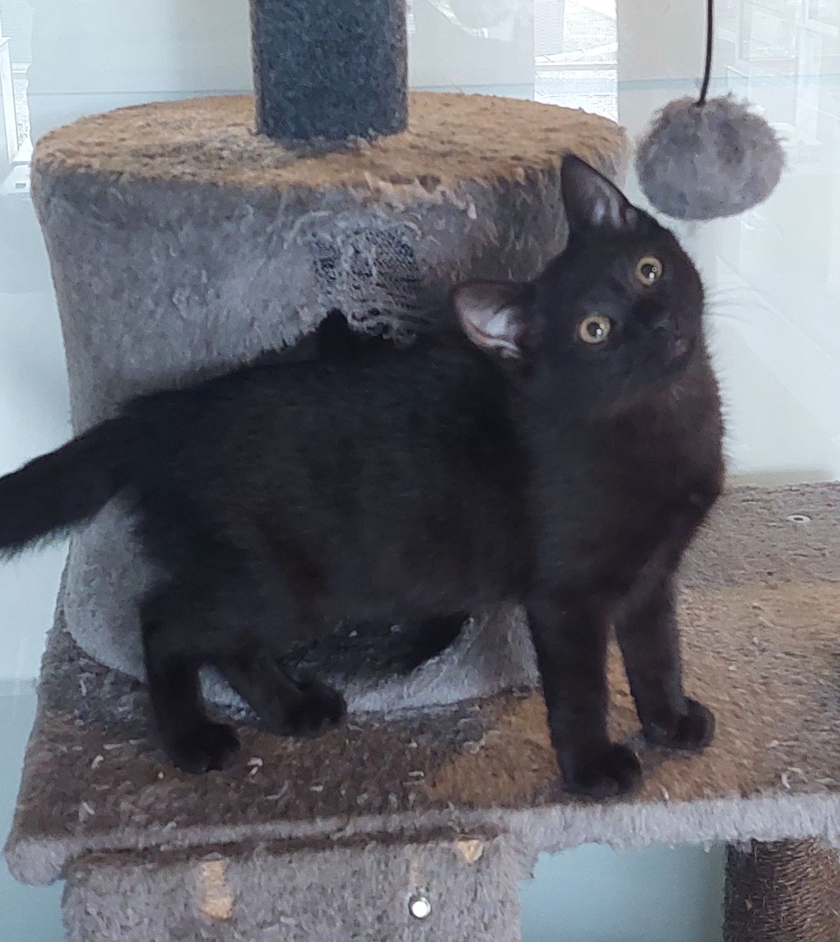 Gallery image: Cathy