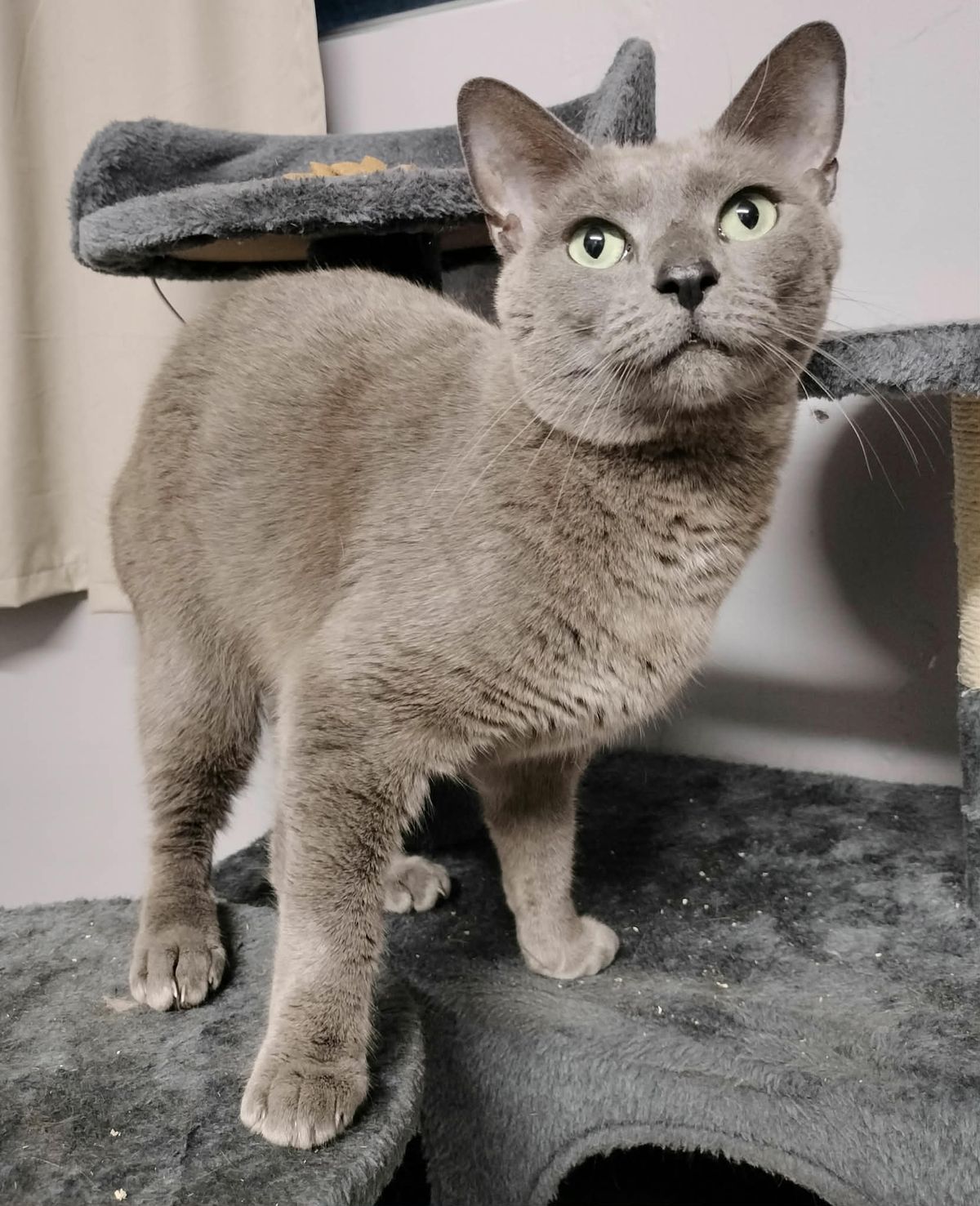 Gallery image: Charlie