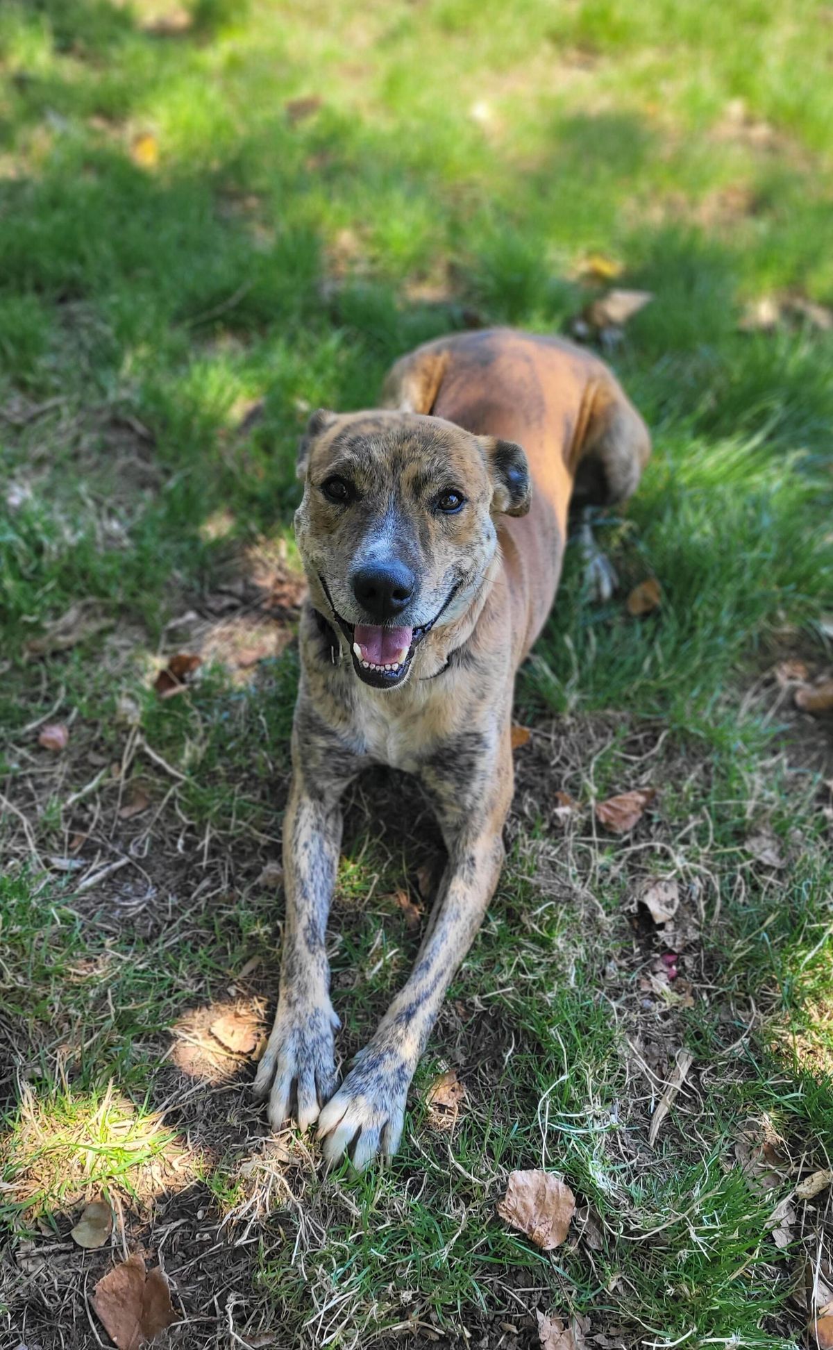 Gallery image: Geezza