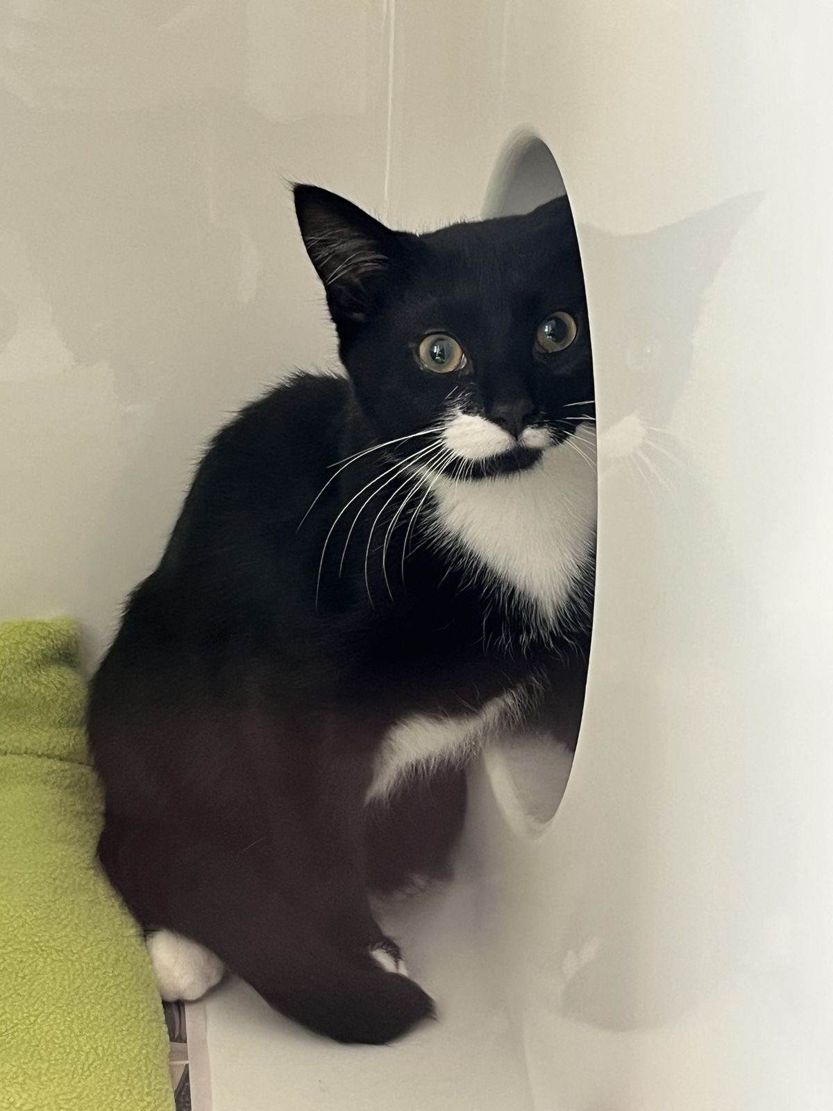 Gallery image: McNugget