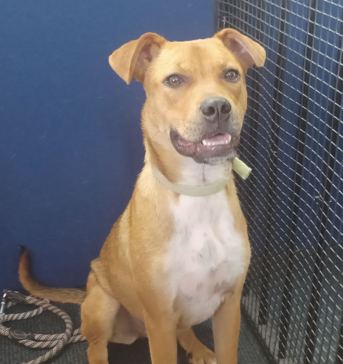 Gallery image: Freya