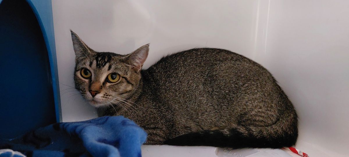 Gallery image: Marissa