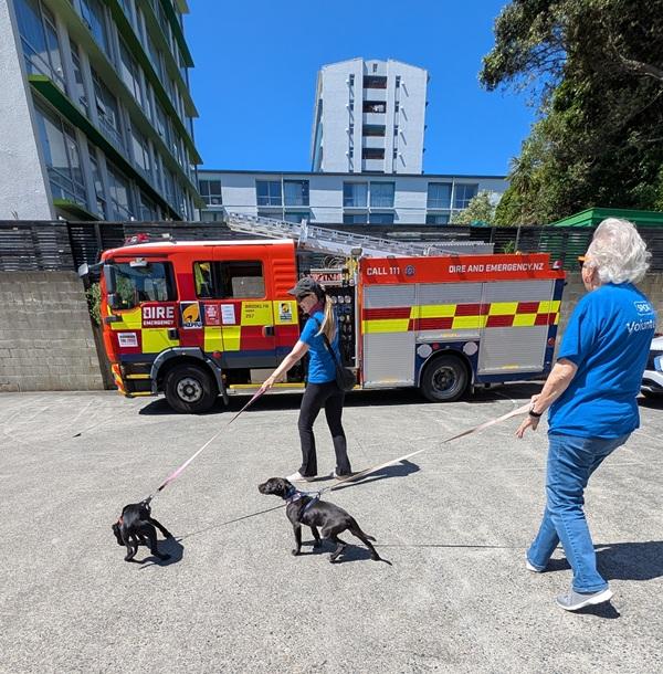 SPCA visiting Wellington Fire Station