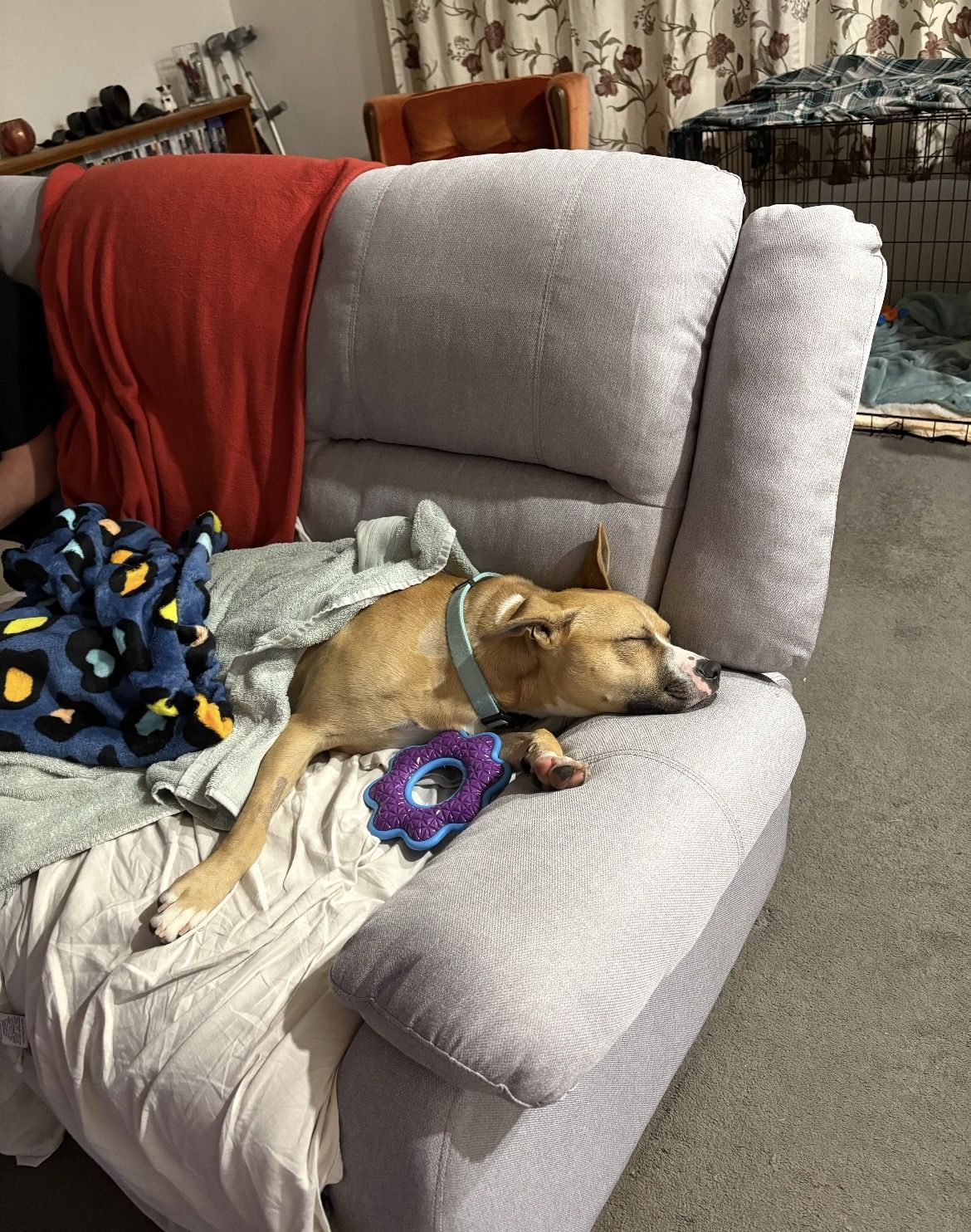 Gallery image: Harley