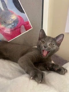 Gallery image: Whitney