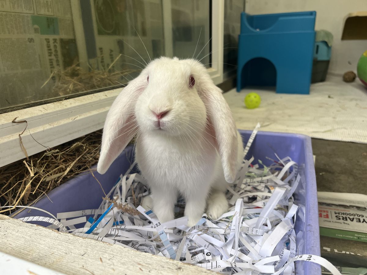 Gallery image: Nimbus